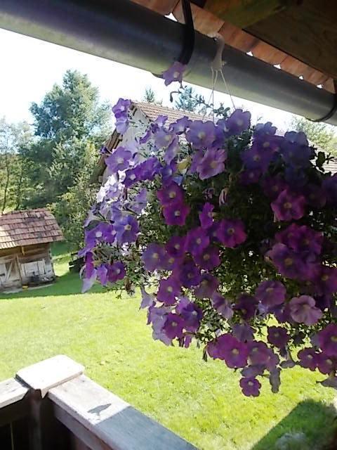 Rustic Home Mia Дуга-Реса Номер фото